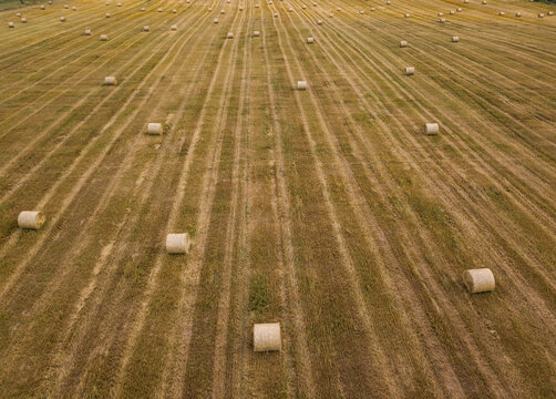 Aerial view of Russian countryside with beautiful geometric patterns of agricultural fields, Yaroslavskaya oblast, Russia.