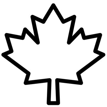 maple leaf icon vector. symbol, sign