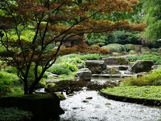 Japanese Garden No. 2