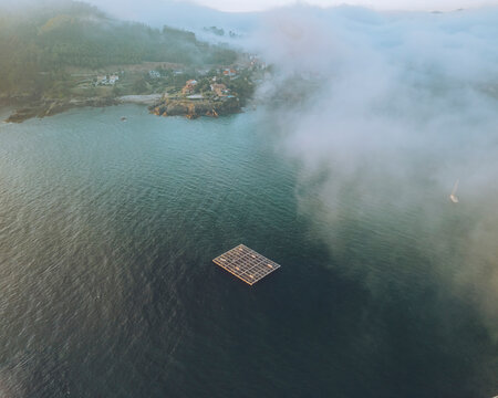 Aerial view of Galicia's coastal town Monteferro with misty morning fog, mussel trawlers and marine farming, Nigran, Rias Baixas, Spain.