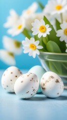 Obraz na płótnie Canvas Quail white eggs on a light blue background. white flowers, Easter vertical background, banner.