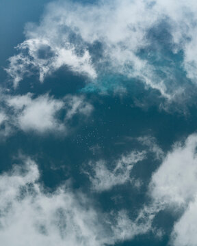 Aerial view of Garda Lake with birds, Riva del Garda, Trentino, Italy.