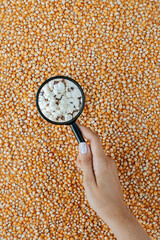 popcorn grains all over the background, a woman's hand holds a magnifying glass, and there is...