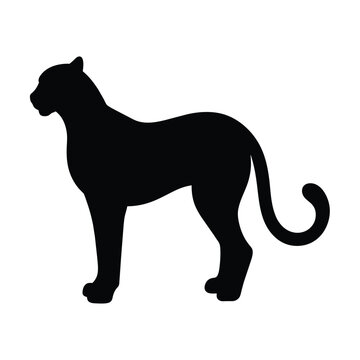 silhouette of a Cheetah on white 