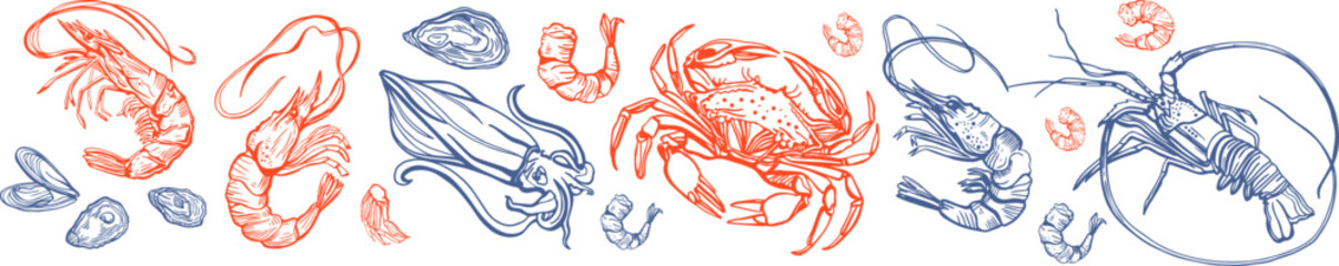 Hand drawn isolated vector set of seafood. Shrimps, langoustines, prawns, salmon, trout, oysters, mussels, squid, crab. Food vintage illustration and template on a white background.