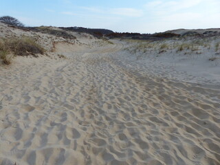 Paysage de dunes et de sables