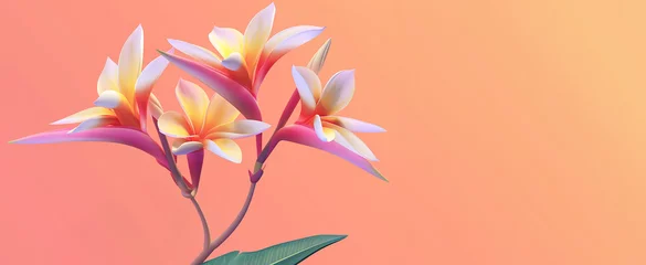 Foto auf Acrylglas Antireflex Strelitzia plumeria flower on orange gradient background, banner with copy space. Greeting cards, wedding invitation. © JulMay