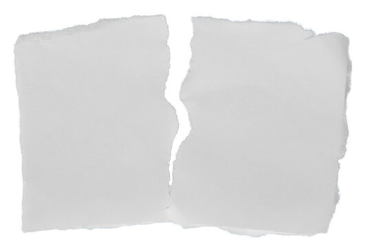 Ripped edge white paper torn into two halves. Photo of the paper on transparent background template for ripped backgrounds with empty space.