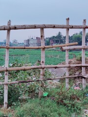 Nature of bangladesh
