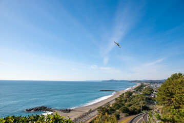 Fototapeta na wymiar 海岸線の海辺と青空を飛ぶ鳥