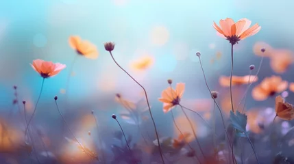 Abwaschbare Fototapete field of poppies © faiz