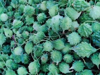 Green nvegetables , Fresh vegetable in the market 