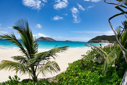 SAINT BARTH