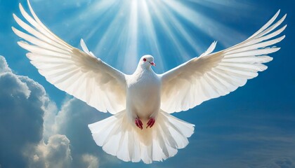 Obraz premium Holy Spirit: White Dove with Open Wings in a Light of Blue Sky