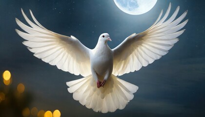 Obraz premium Holy Spirit: White Dove with Open Wings Embraced by Moonlight in Night Sky