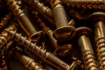 close up of many brass colored screws