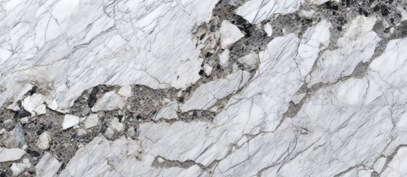 A closeup of a white marble slab with a black border, showcasing the beautiful formation against the snowy backdrop