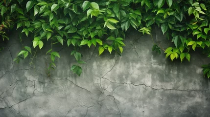 Papier Peint photo Lavable Herbe green ivy on wall