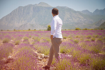 person in lavender field