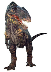 Fototapeta premium 3D Rendering Dinosaur Gigantosaurus on White
