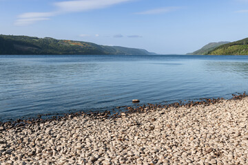 Loch Ness unfold in a carpet of smooth pebbles, transitioning to the tranquil waters that mirror...