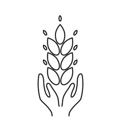 Wheat conservation line symbol, ear, grains of wheat vector editable stroke icon for user interface. Saving the wheat crop.