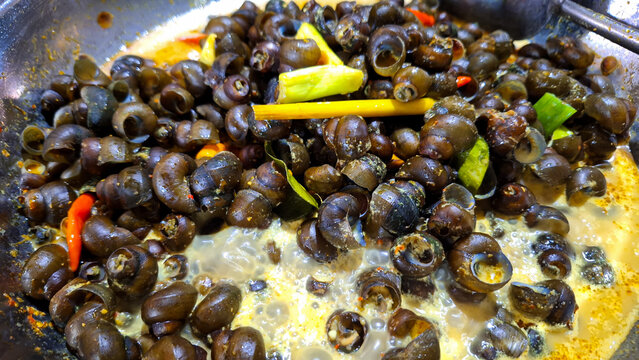 Tutut Stew, Traditional Food from Indonesia, Made from Tutut is a kind of freshwater slug. often consumed as a source of protein, This food popular in West Java, easy to find during ramadhan.