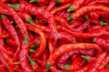 乾燥中の赤唐辛子20231103