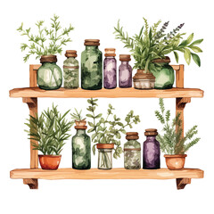Apothecary Cabinet Herbs Watercolor Clipart 