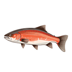 Arctic Char clipart isolated on white background
