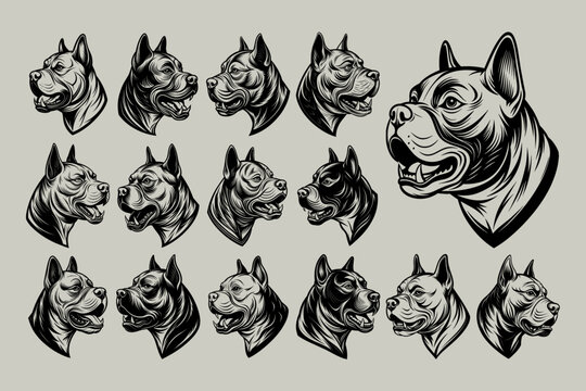 Collection Of Side View American Bully Dog Head Design Vector