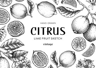 Lime fruit frame. Exotic plants design template. Citrus fruit sketches; Summer background. Hand-drawn vector illustration.  - 763307705