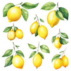 Bright yellow lemons hand-painted with lush green foliage