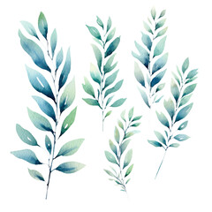 A composition of botanical leaves in watercolor