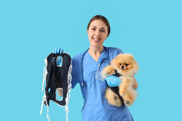 Female veterinarian with recovery suit and Pomeranian dog after sterilization on blue background