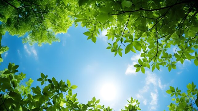 Clear blue sky and green trees seen from below. Carbon neutrality concept presented in a vertical format. Pictures for Earth Day or World Environment Day desktop background