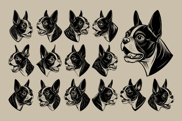 Illustration of side view drawing boston terrier dog head design bundle