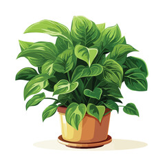 Pot of Philodendron Clipart clipart isolated on white