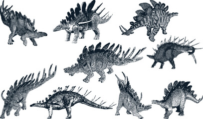 Kentrosaurus dinosaur