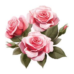 Roses Clipart clipart isolated on white background