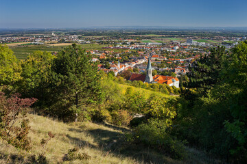 Obraz premium Gumpoldkirchen, Kirche, Thermenregion, Niederösterreich, Österreich