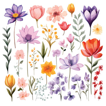 Spring Flowers Clipart isolated on white background