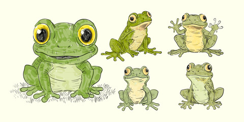 Set of frog animal cartoon icon character hand drawn isolated on white background vector illustration.