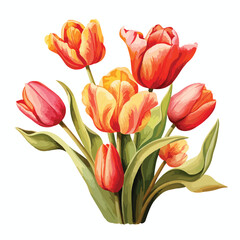 Tulips Clipart isolated on white background 