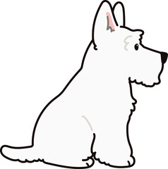 Simple and adorable white Scottish Terrier illustration sitting in side view