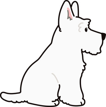 recommend clip art: Simple and adorable white Scottish Terrier illustration sitting in side view