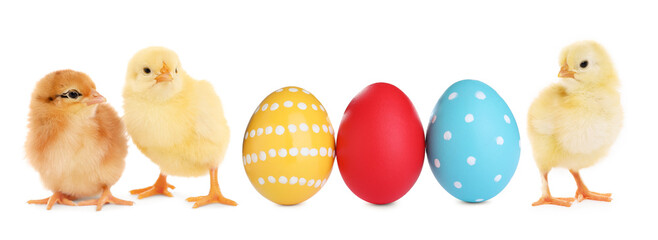 Happy Easter. Cute chicks and painted eggs isolated on white