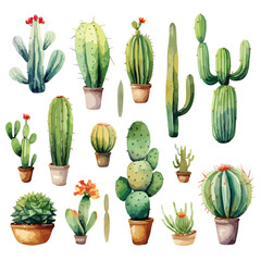 Watercolor Cactus Clipart isolated on white background
