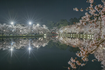 Landscape Night View Of Cherry Blossoms (Sakura) With River and Bridge Reflaction At Hirosaki Cherry Blossom Festival