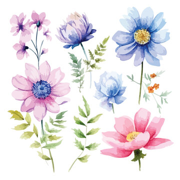Watercolor Colorful Flowers clipart 